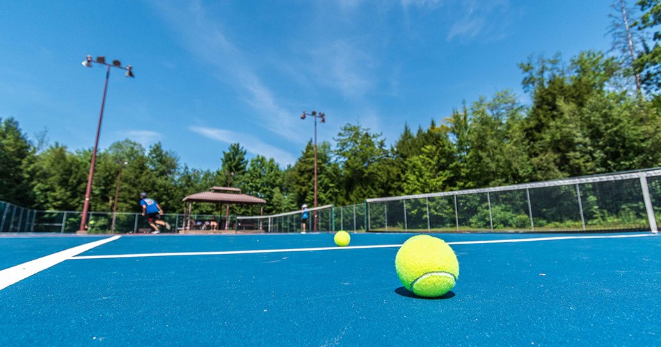 Balle sur un terrain de tennis du parc de Fontainebleau