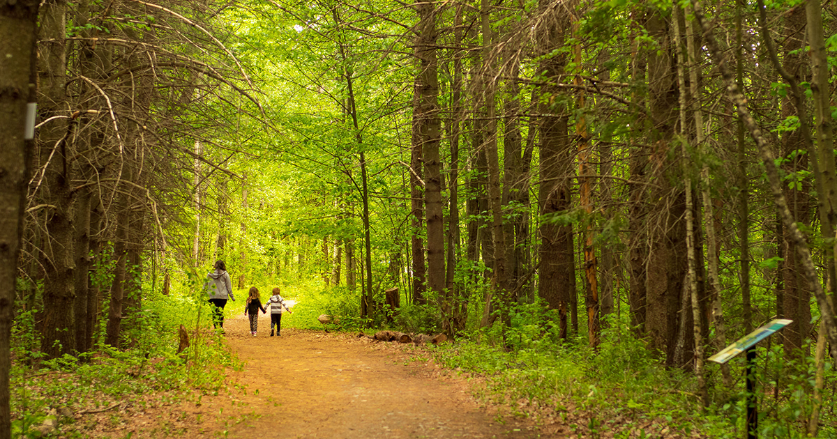 Découvrez les boisés Ville de Blainville